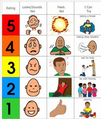 Visual Scales