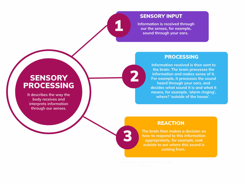 Sensory Processing